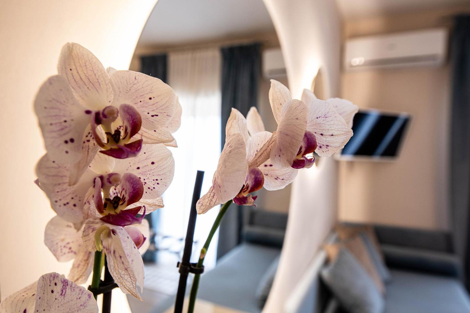 Agrigento Tra Templi E Mare Luxury Home Eksteriør billede